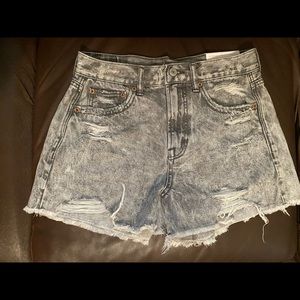 Super High Rise Festival Shorts